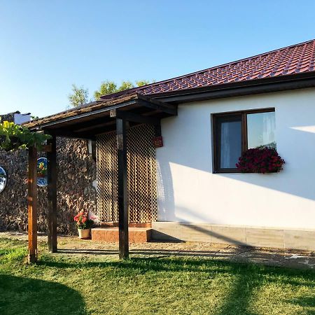Villa Draganovi Kamen Bryag Exteriör bild