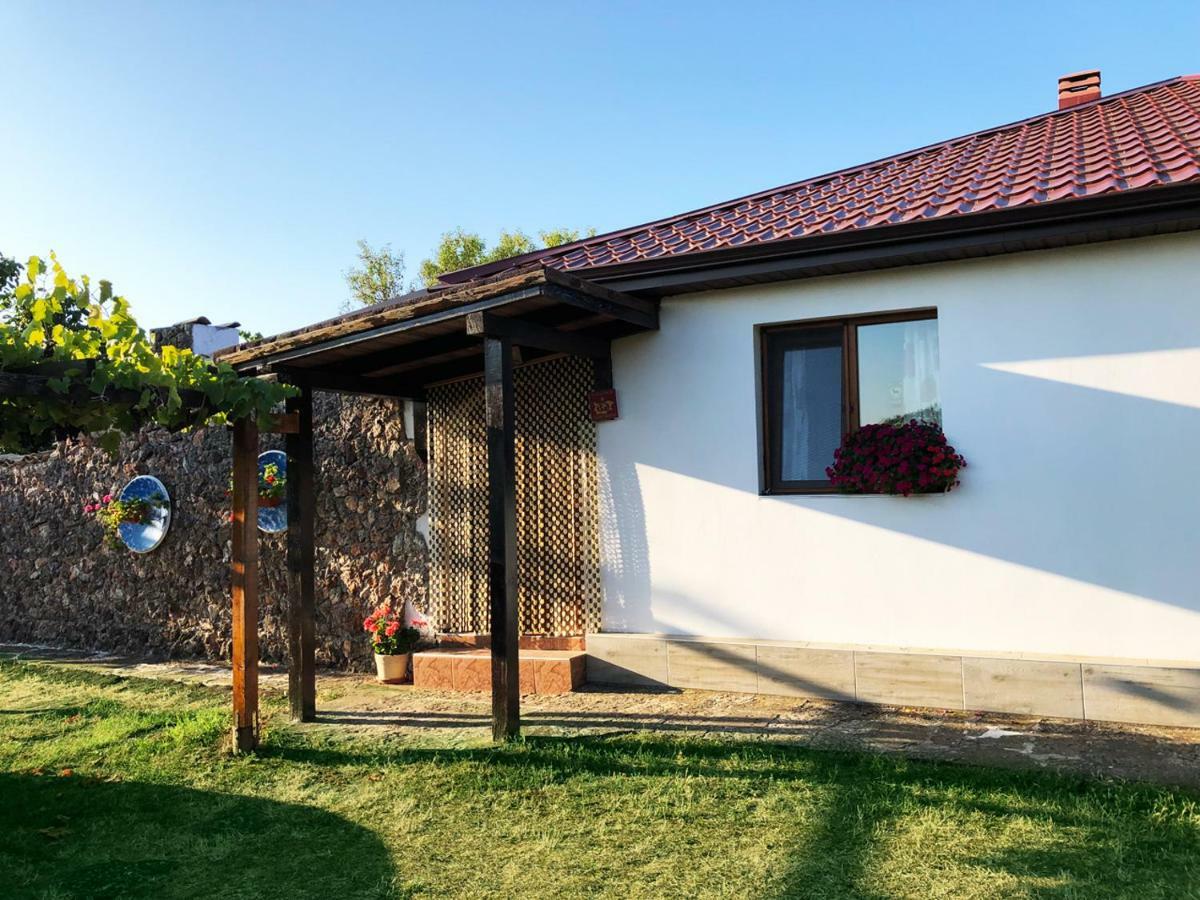 Villa Draganovi Kamen Bryag Exteriör bild